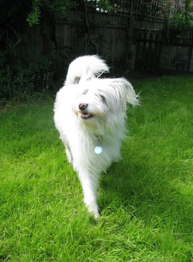 It feels like grass.