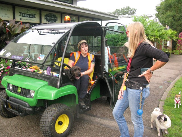 Nancy needs to be absolutely certain that Alison has no treats aboard, while Ruby looks decidedly suspicious and tiny Gem just waits in hope.