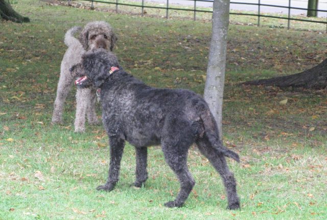 I think my little sister's getting a bit above herself. Time to put her in her place.