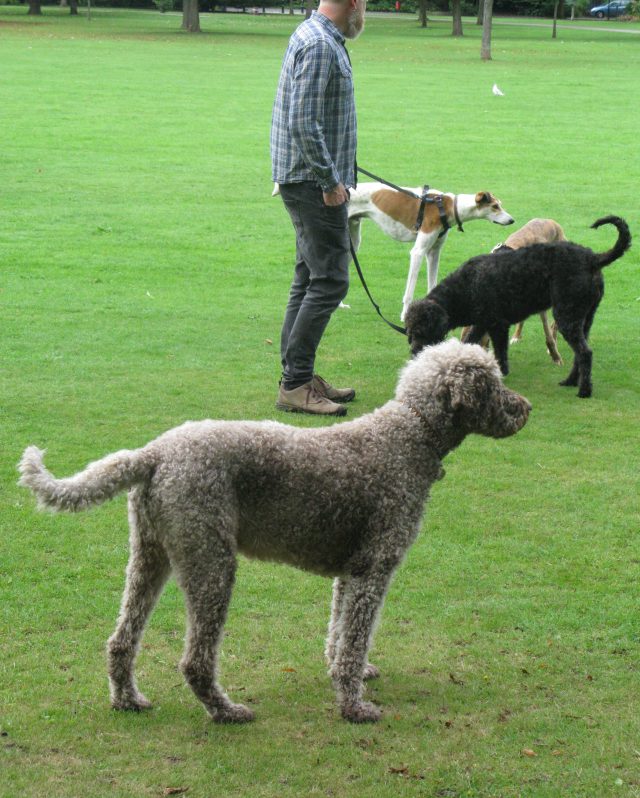 Ah. Gilbert and George. haven't seen them for ages. Must have a quick sniff.