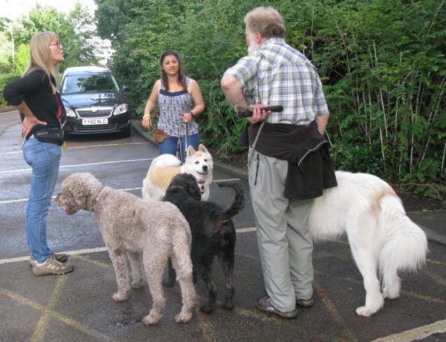 Hello Keiko.Keep your paws to yourself, and tell me who's this new kid on the block?