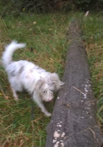 wp_20160912_17_51_29_pro