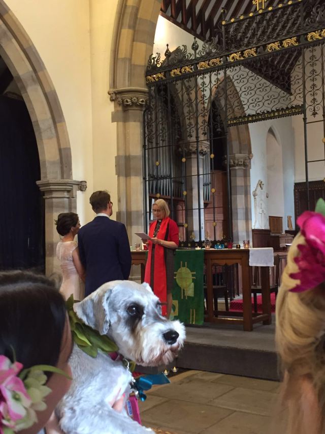 This is a big responsibility for a dog.