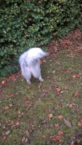 Sniff, snuff, SNIFF-SNUFF. Gotcha!