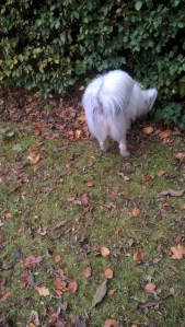 Sniff, snuff, sniff. Lower, lower.