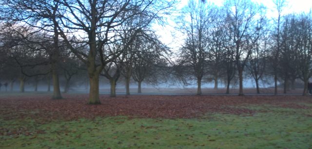 wp_20161217_10_31_36_pro