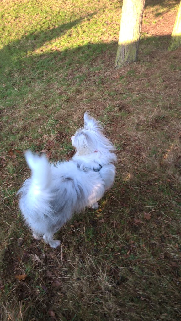 wp_20161230_10_48_44_pro