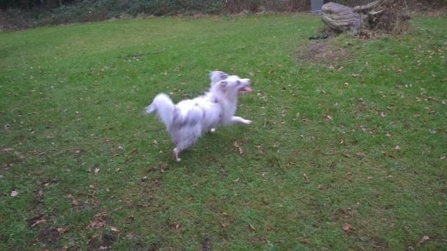 wp_20170106_13_34_09_pro