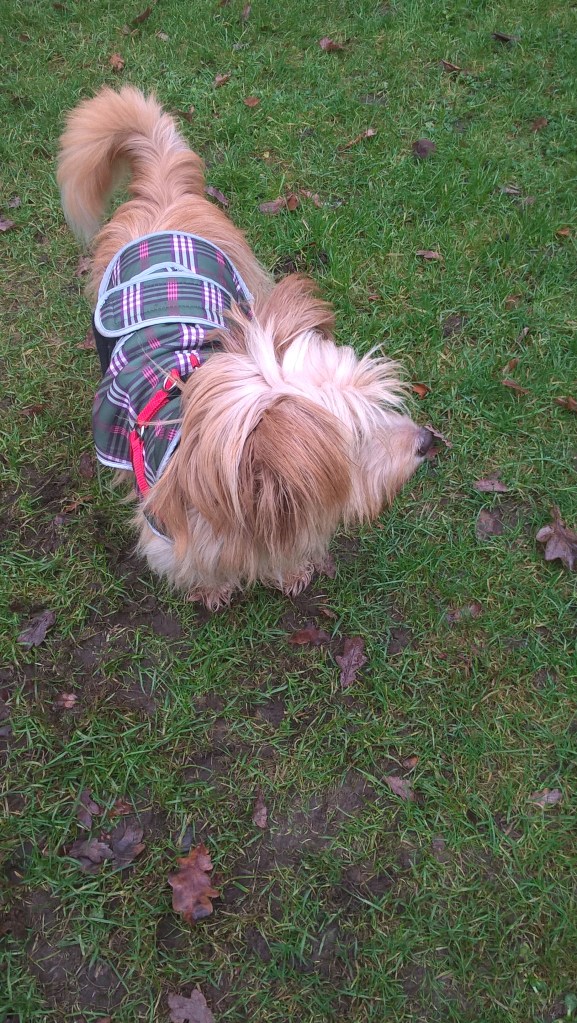 wp_20170108_13_05_46_pro