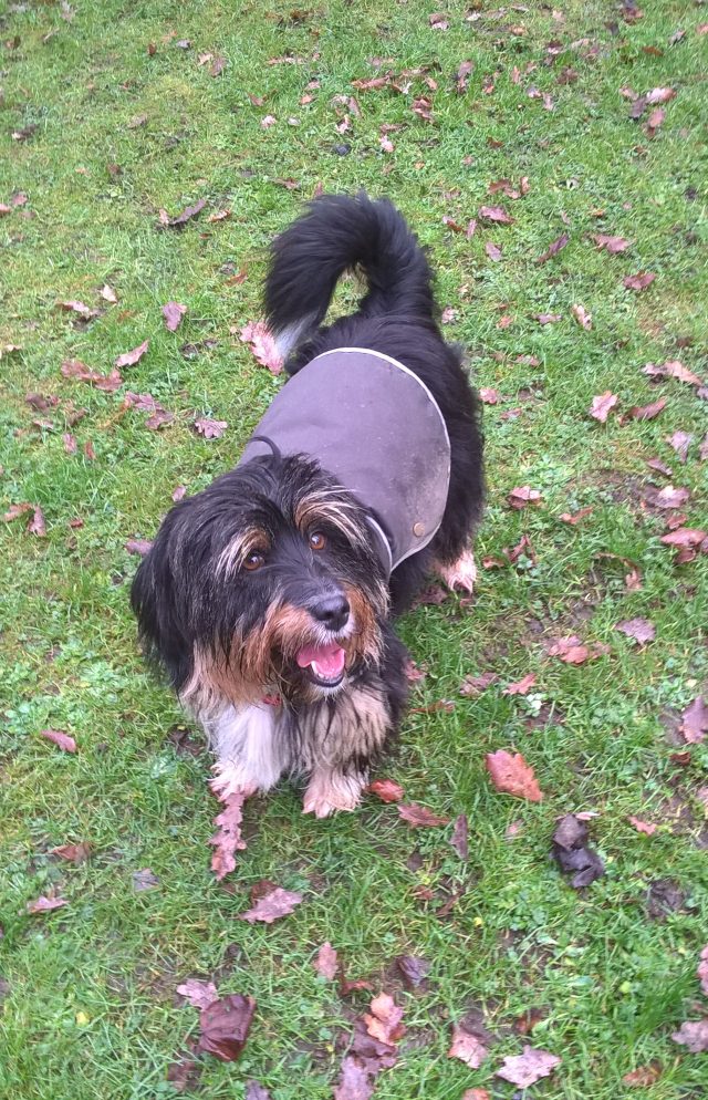 wp_20170108_13_06_20_pro