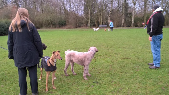 Hey! Someone's getting a treat and it's not us.