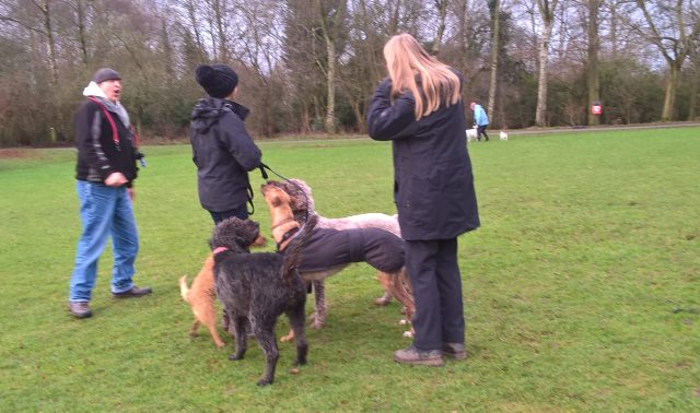 It's a bit crowded up there. I'll stay down here.