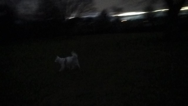 wp_20170110_16_59_42_pro