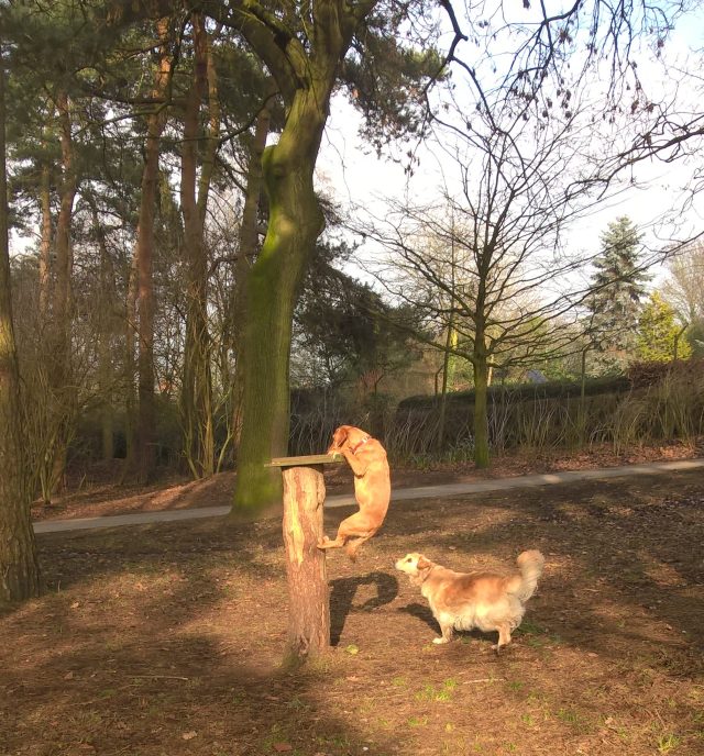 Oh dear, I didn't teach her this, honestly.