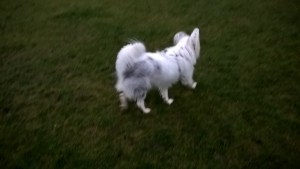 wp_20170208_17_08_32_pro