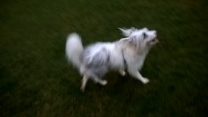 wp_20170208_17_08_48_pro