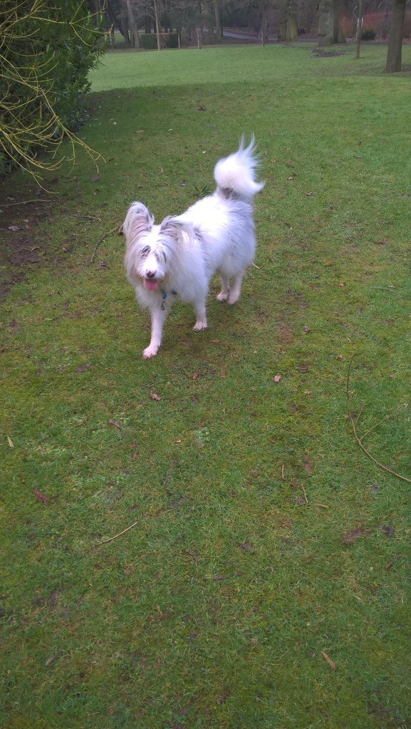 wp_20170214_10_26_11_pro