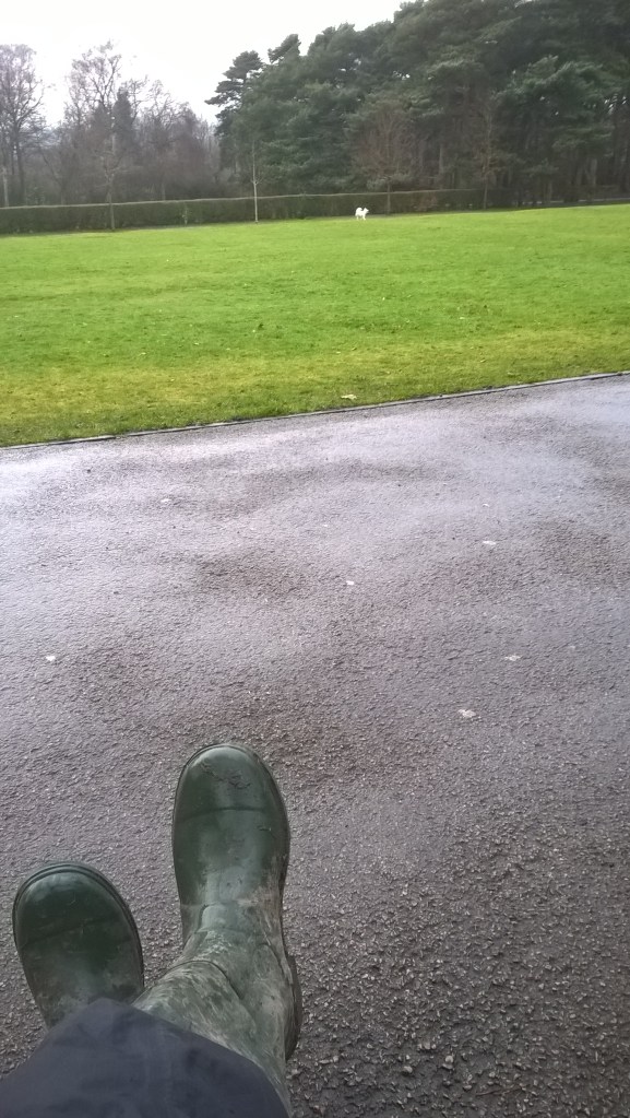 wp_20170215_16_43_45_pro