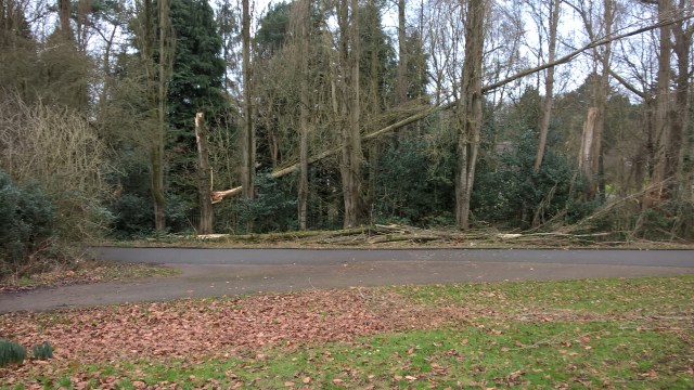 wp_20170225_10_52_30_pro