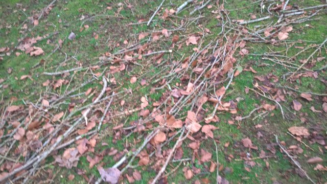 wp_20170225_10_53_43_pro